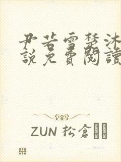 尹若雪楚沐珊小说免费阅读全文最新章节列表