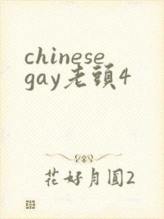 chinesegay老头4