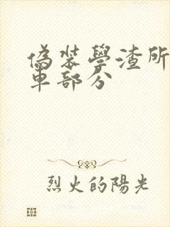 伪装学渣所有开车部分