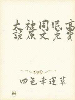 大被同眠高粱小说原文免费阅读