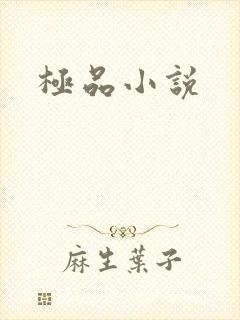 极品小说