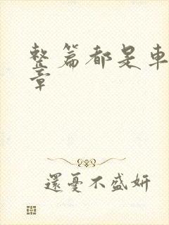 整篇都是车的文章