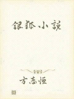 银狐小说