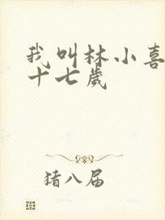 我叫林小喜今年十七岁