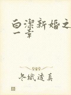 白洁新婚之夜第一章