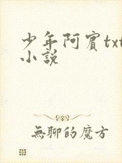 少年阿宾txt小说