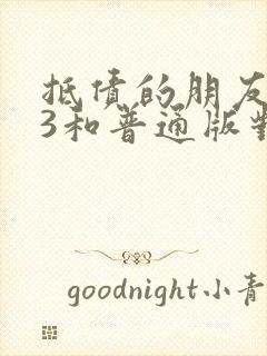 抵债的朋友麦子3和普通版对比