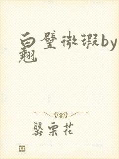 白璧微瑕by连翘