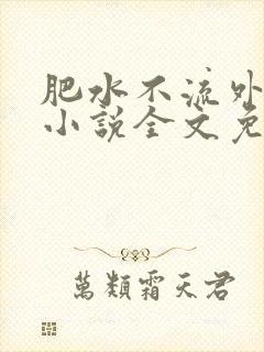 肥水不流外人田小说全文免费阅读1