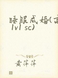 睡服成婚(高h 1v1 sc)