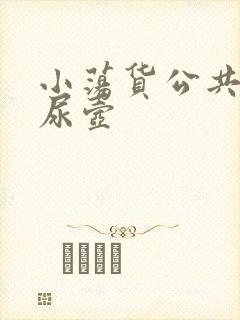 小荡货公共精厕尿壶