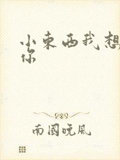 小东西我想弄坏你