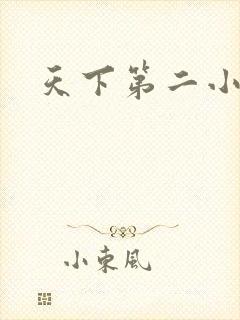 天下第二小说