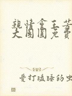 亲情会王芳高敏大团圆免费阅读