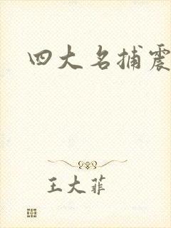 四大名捕震关东