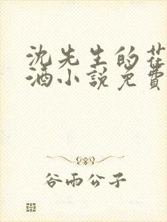 沈先生的花式调酒小说免费阅读