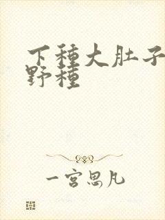 下种大肚子怀孕野种