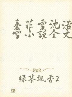 秦菲雪沈浩秦菲雪小说全文免费阅读求书