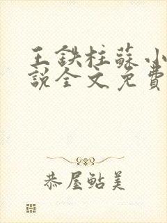 王铁柱苏小汐小说全文免费阅读最新章节