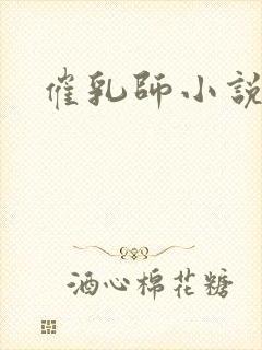 催乳师小说