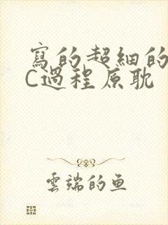 写的超细的多肉C过程原耽