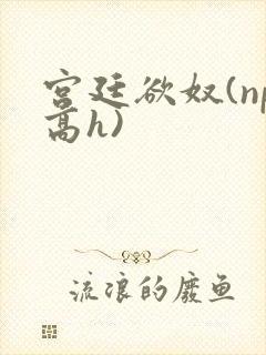 宫廷欲奴(np高h)