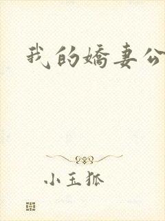 我的娇妻公务员