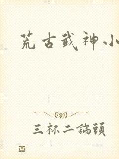 荒古武神小说