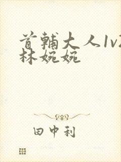 首辅大人1v2林婉婉