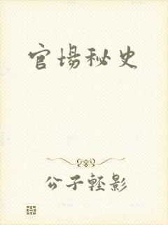 官场秘史