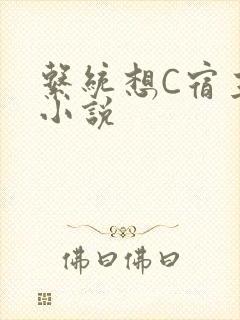 系统想C宿主的小说
