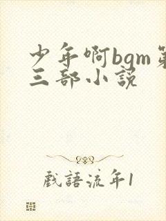 少年啊bgm第三部小说
