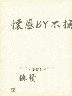 怀恩BY不换