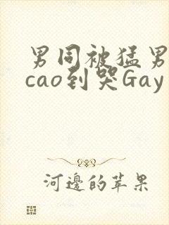 男同被猛男房东cao到哭Gay