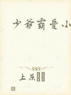 少爷霸爱小丫头