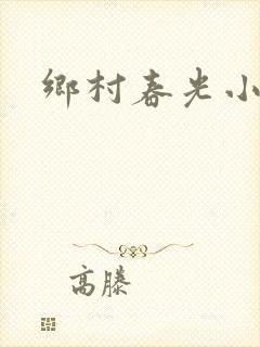 乡村春光小说