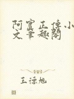 阿宾正传小说全文笔趣阁