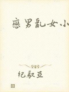 恋男乱女小说