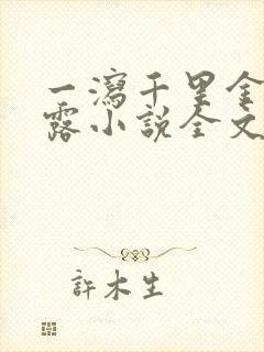 一泻千里金银花露小说全文免费阅读