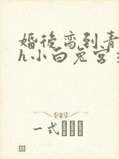 婚后脔到青梅哭h小白兔宫交h