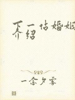 下一站婚姻剧情介绍