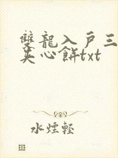 双龙入户三人行夹心饼txt