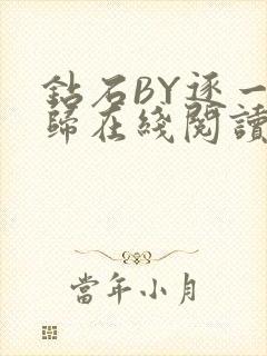 钻石BY逐一而归在线阅读