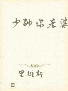 少帅你老婆