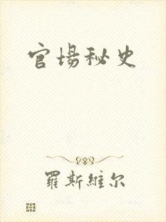 官场秘史