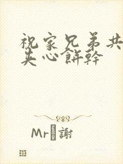 祝家兄弟共享后夹心饼干