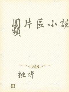 图片区小说区视频