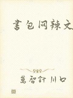 书包网辣文合集