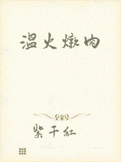 温火炖肉