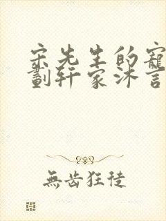 宋先生的宠妻计划轩家沐言